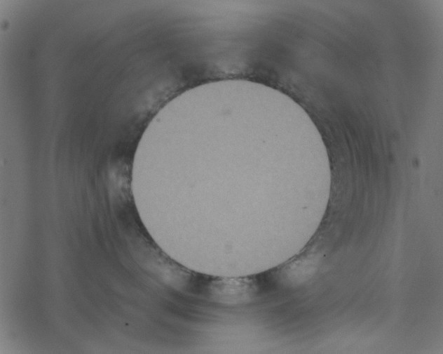 X0000077360672200611031848