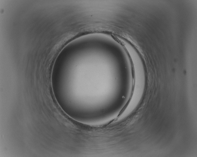 X0000077360673200611031847