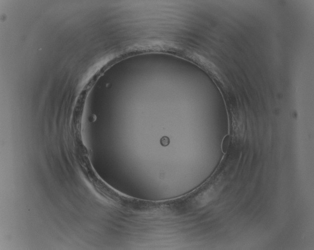 X0000077360674200611031847