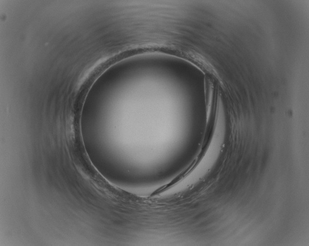 X0000077360676200611031847