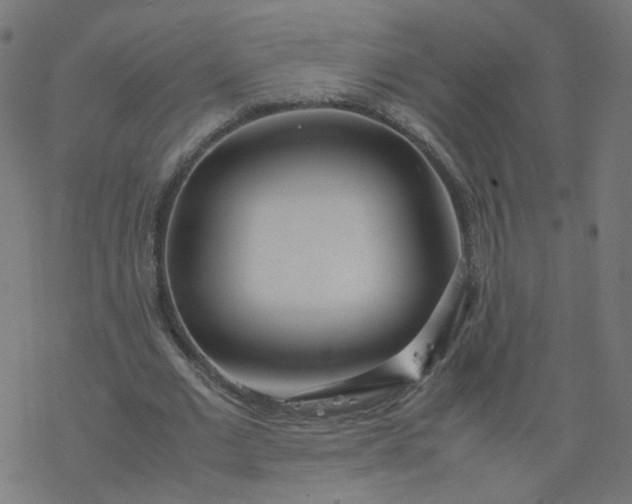 X0000077360677200611031847