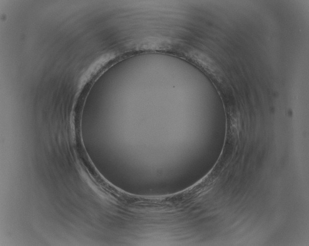 X0000077360678200611031847