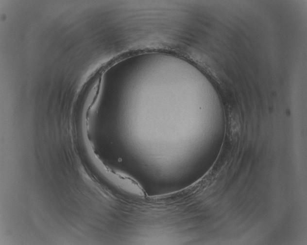 X0000077360680200611031847