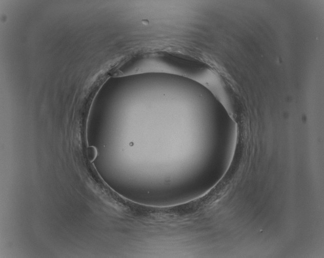 X0000077360681200611031847