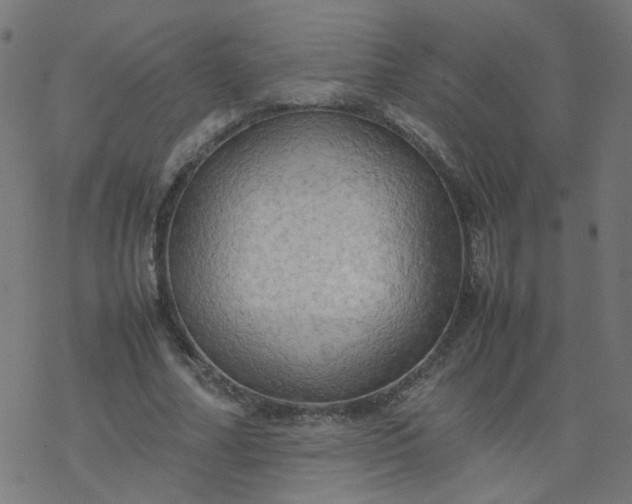 X0000077360682200611031847