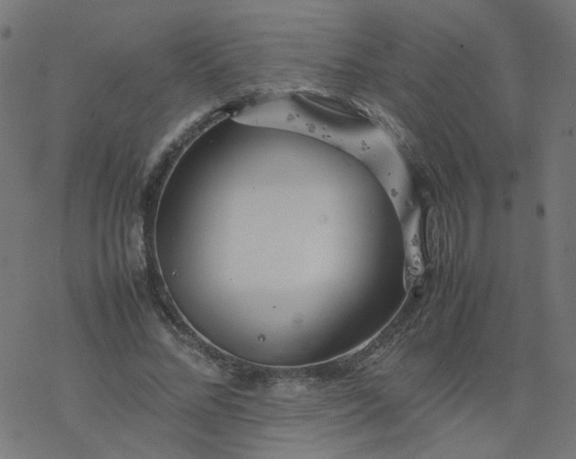 X0000077360684200611031847