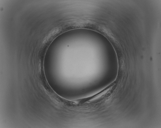 X0000077360685200611031847