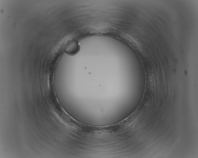 X0000077360686200611031847