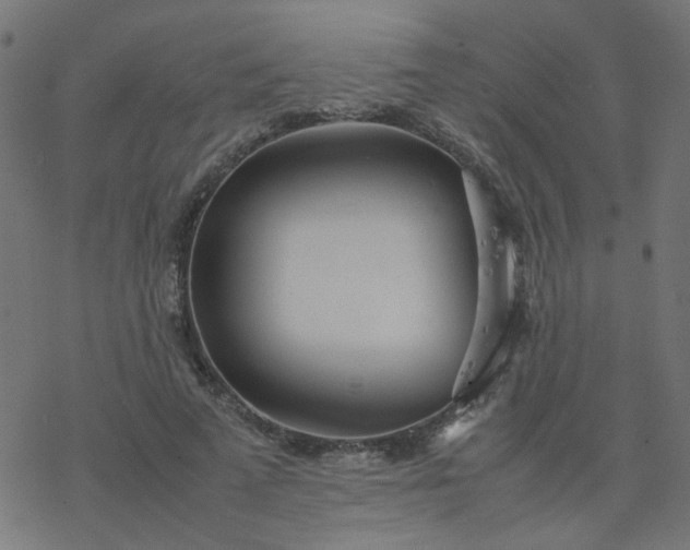 X0000077360689200611031847