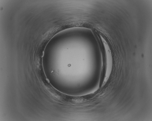 X0000077360693200611031846