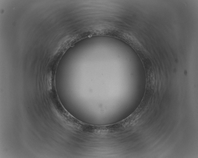 X0000077360694200611031846