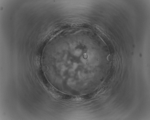 X0000077360695200611031846