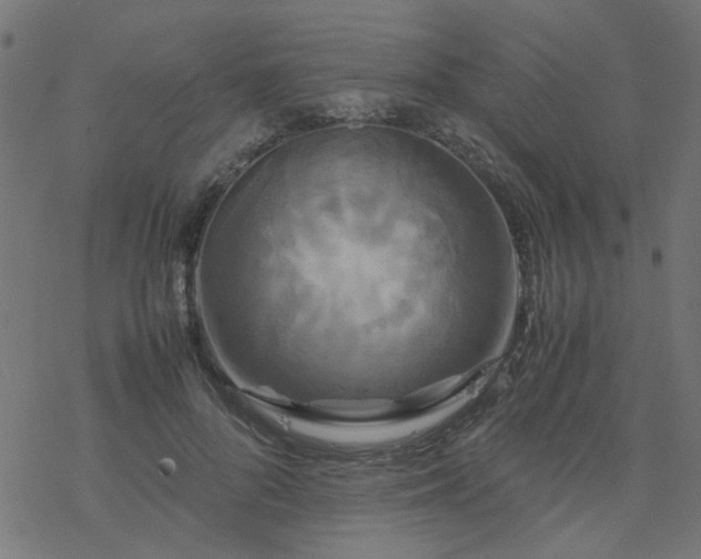 X0000077360696200611031846