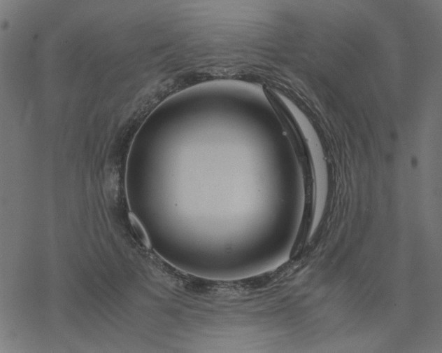 X0000077360697200611031846