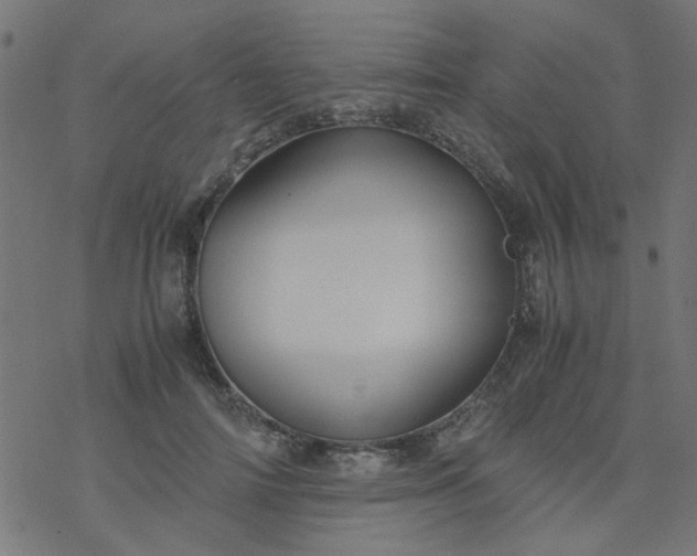 X0000077360698200611031846