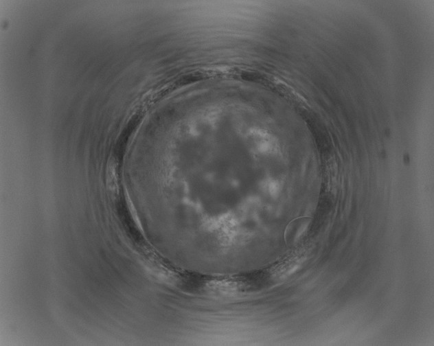 X0000077360699200611031846