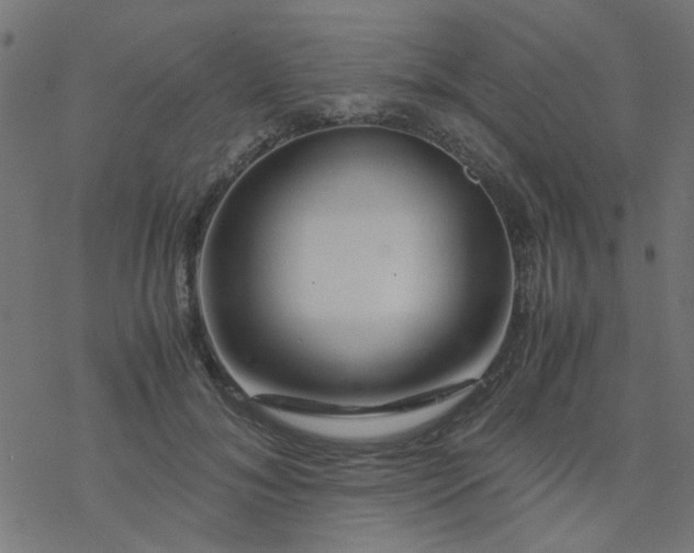 X0000077360700200611031846