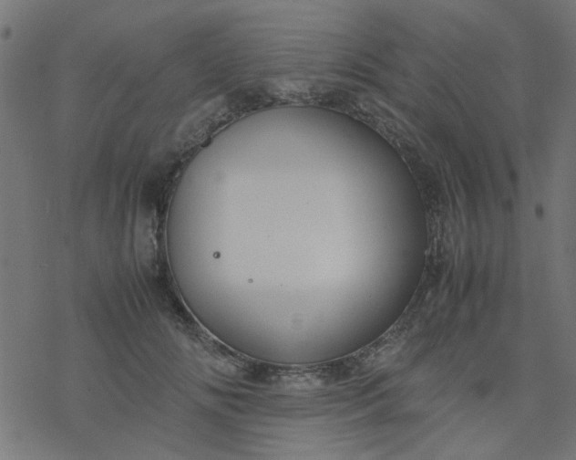 X0000077360702200611031846