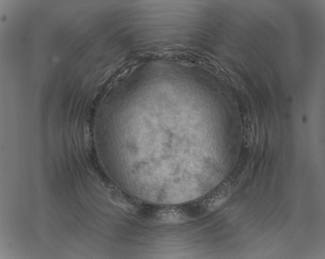 X0000077360704200611031846