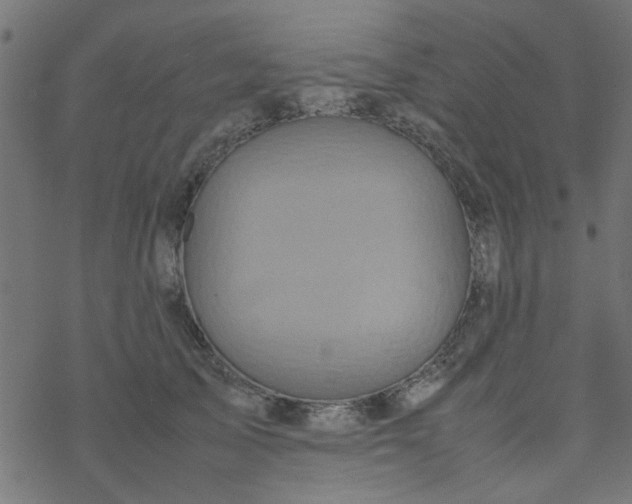 X0000077360705200611031846