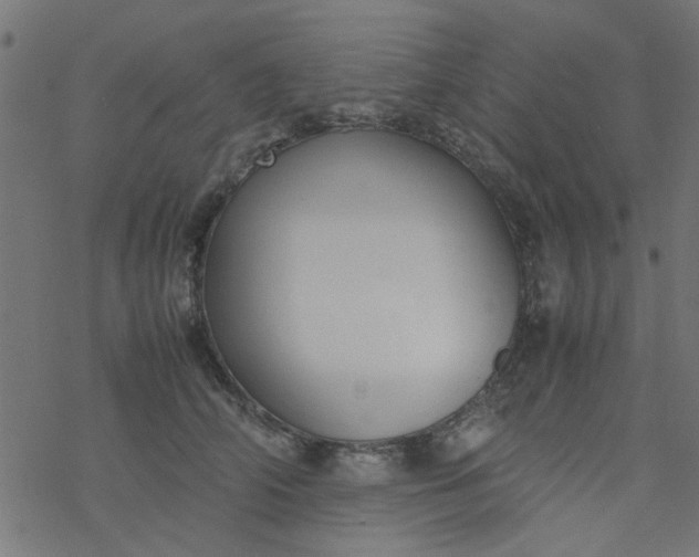 X0000077360706200611031846