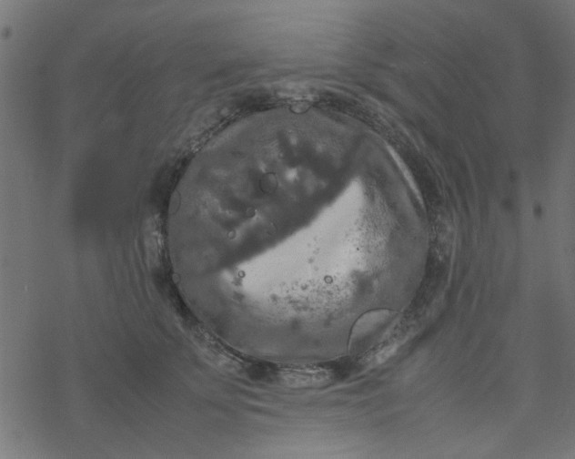 X0000077360707200611031846