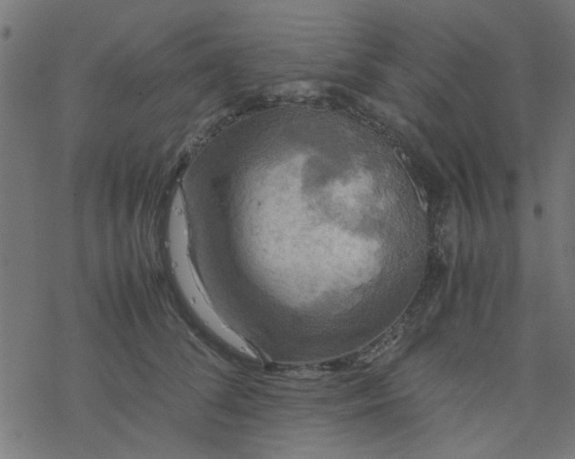 X0000077360708200611031846