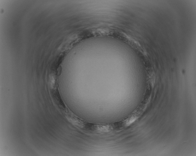 X0000077360709200611031846