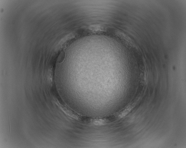 X0000077360710200611031846