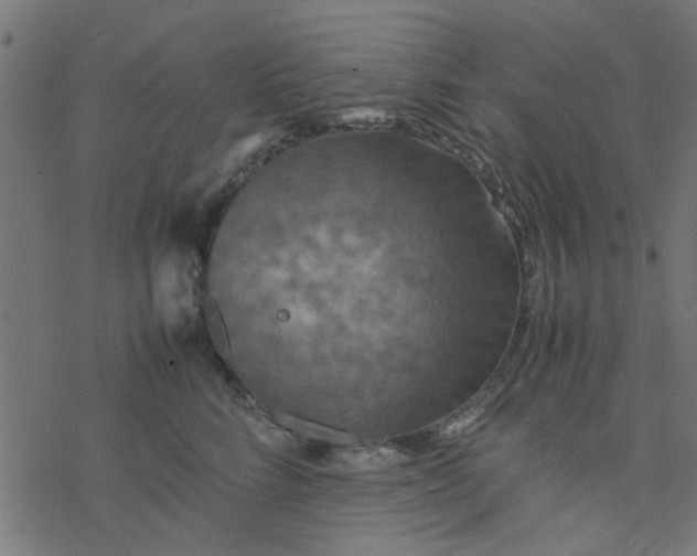 X0000077360712200611031846