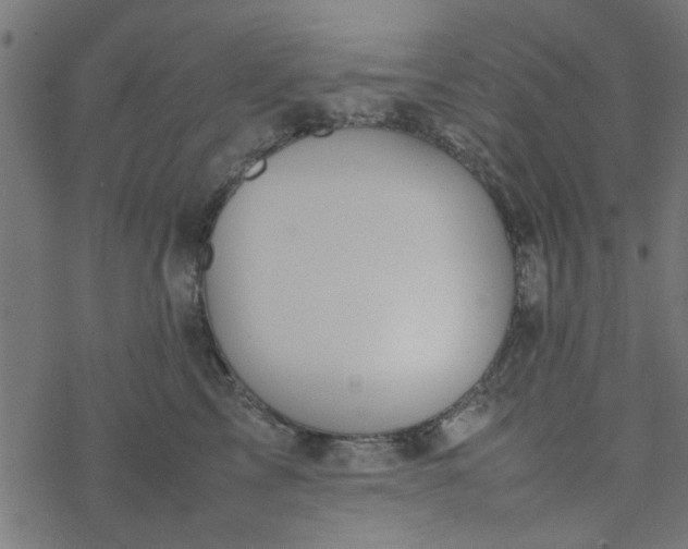 X0000077360713200611031846