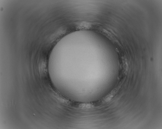 X0000077360714200611031846