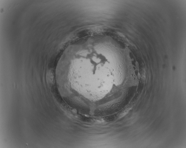 X0000077360715200611031846