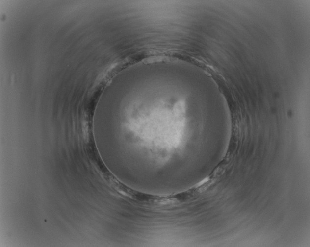 X0000077360716200611031846