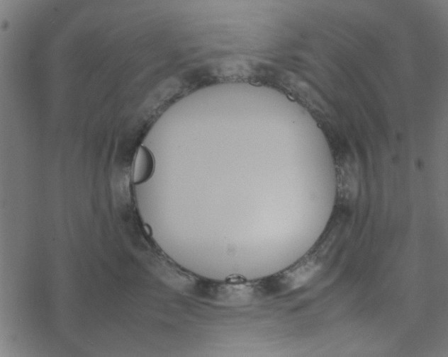 X0000077360717200611031846