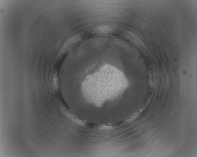 X0000077360718200611031846