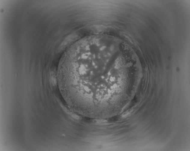 X0000077360719200611031846