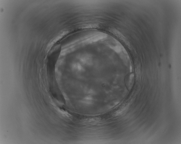 X0000077360721200611031845