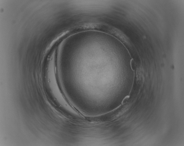 X0000077360722200611031845