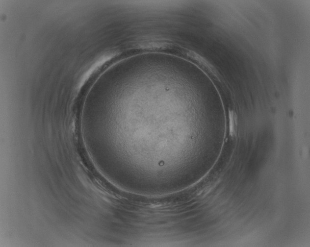 X0000077360723200611031845