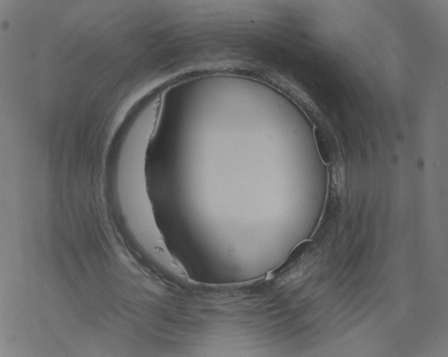 X0000077360724200611031845