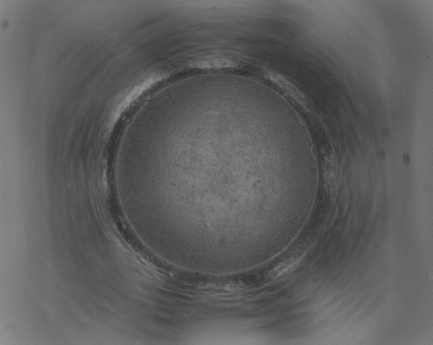 X0000077360727200611031845