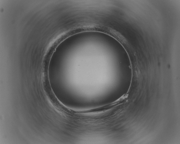 X0000077360728200611031845