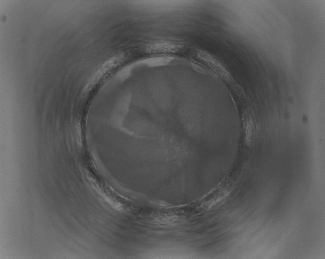 X0000077360729200611031845