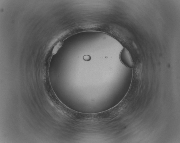 X0000077360732200611031845