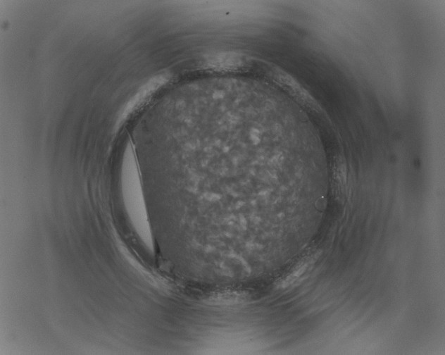 X0000077360734200611031845