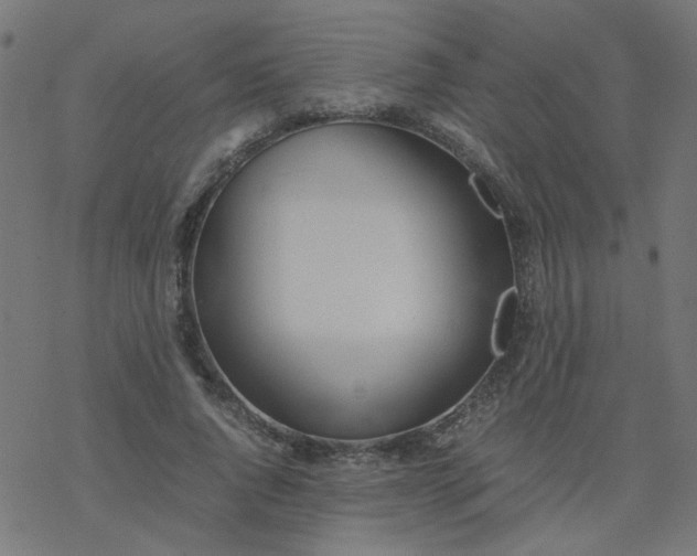 X0000077360736200611031845