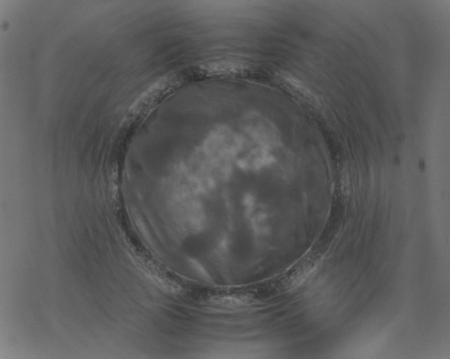 X0000077360737200611031845