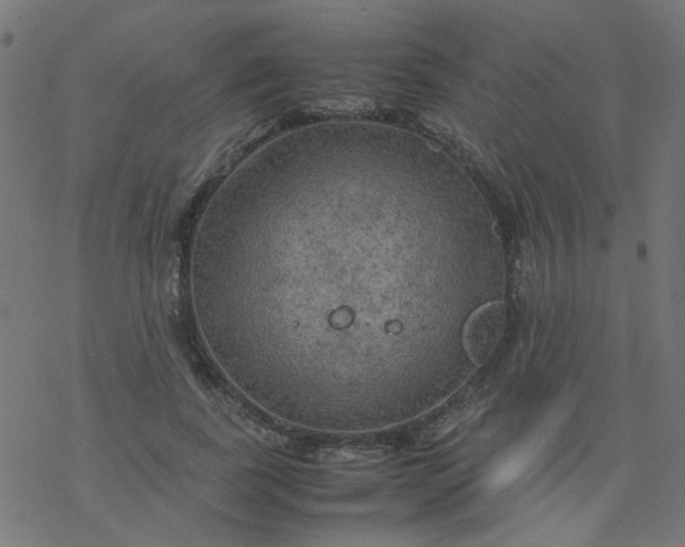 X0000077360739200611031846