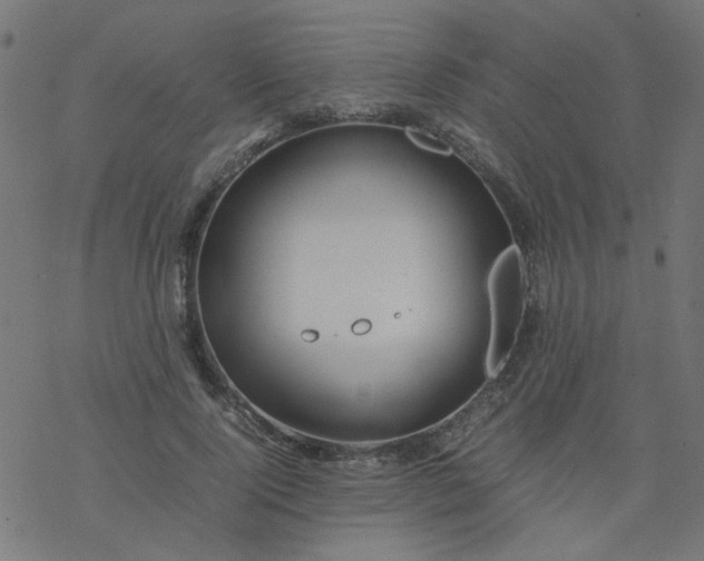 X0000077360740200611031846